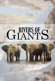 دانلود مستند Rivers of Giants 2005102245-754286690