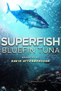 دانلود مستند Superfish Bluefin Tuna 2012101607-1778631912