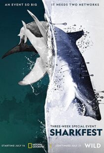 دانلود مستند Man vs. Shark 2019104475-1490837960