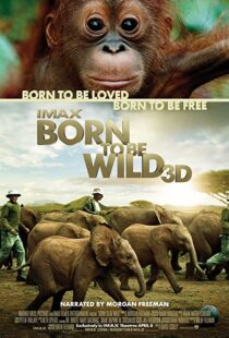 دانلود مستند Born to Be Wild 2011110503-47896987
