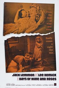دانلود فیلم Days of Wine and Roses 1962112924-1358669774