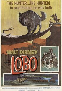 دانلود فیلم The Legend of Lobo 1962111441-1841517799