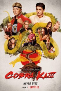 دانلود سریال Cobra Kai78550-1986586906