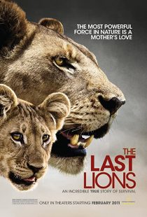 دانلود مستند The Last Lions 2011195626-2146365313