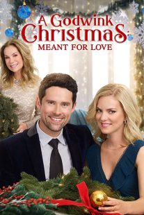 دانلود فیلم A Godwink Christmas: Meant for Love 201931842-509651197