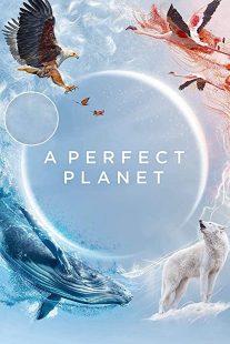دانلود مستند A Perfect Planet231098-109463378