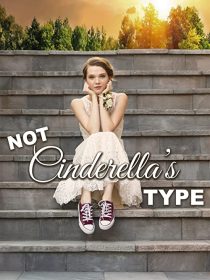 دانلود فیلم Not Cinderella’s Type 2018254350-903335610