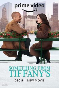 دانلود فیلم Something from Tiffany’s 2022305903-784100312