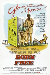 دانلود فیلم Born Free 1966323518-1943833095