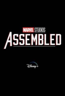 دانلود سریال Marvel Studios: Assembled100150-234115148