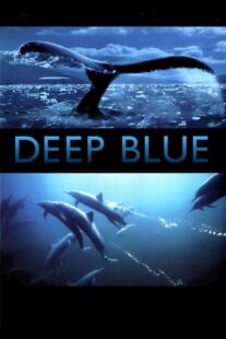 دانلود فیلم Deep Blue 2003333037-1242106236
