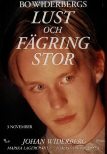 دانلود فیلم Lust och fägring stor 1995353136-617185588