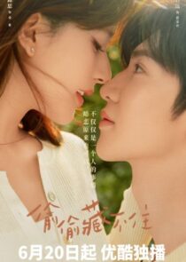 دانلود سریال Hidden Love367594-2019061107
