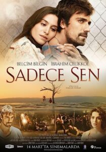 دانلود فیلم Only You 2014369345-1227437602