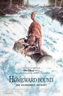 دانلود فیلم Homeward Bound: The Incredible Journey 1993371118-1567557033