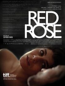 دانلود فیلم Red Rose 2014373098-464413860