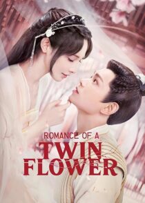 دانلود سریال Romance of a Twin Flower379211-1182275889