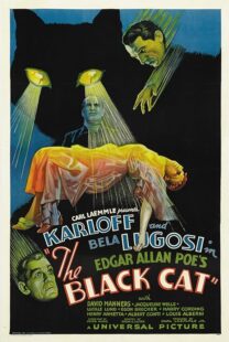 دانلود فیلم The Black Cat 1934378235-1484608739