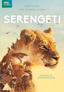 دانلود سریال Serengeti378761-1879847417