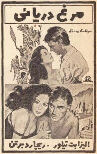 دانلود فیلم The Sandpiper 1965381611-952718077