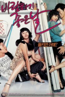دانلود فیلم کره‌ای A Good Day to Have an Affair 2007384531-2011929467