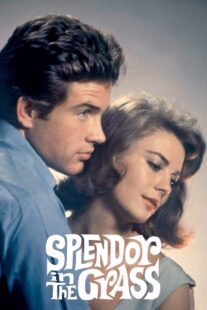 دانلود فیلم Splendor in the Grass 1961382554-958204250