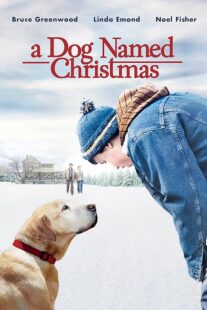 دانلود فیلم A Dog Named Christmas 2009389298-1228102658