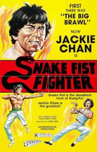 دانلود فیلم Snake Fist Fighter 1973388650-368305823