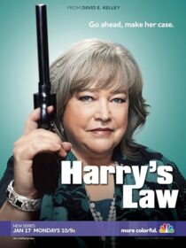 دانلود سریال Harry’s Law393952-372269828