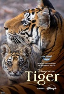 دانلود مستند Tiger 2024396409-2052045886