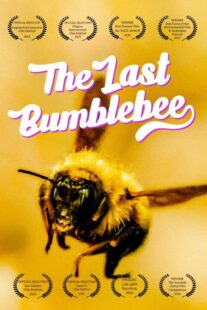 دانلود مستند The Last Bumblebee 2024399140-834482448