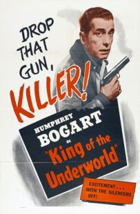 دانلود فیلم King of the Underworld 1939399475-2101656995