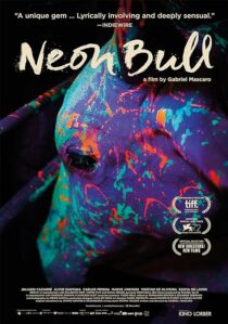 دانلود فیلم Neon Bull 2015396774-2117448394