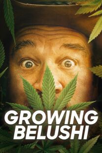دانلود سریال Growing Belushi400424-1837755075