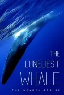 دانلود فیلم The Loneliest Whale: The Search for 52 2021403098-588999038