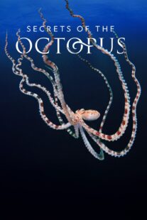 دانلود سریال Secrets of the Octopus401286-1266451997