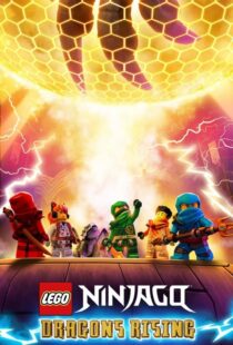 دانلود انیمیشن Ninjago: Dragons Rising402689-1022040843