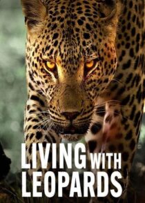 دانلود مستند Living with Leopards 2024400477-1928113159
