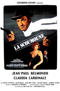 دانلود فیلم  la Scoumoune 1972405556-1703737688