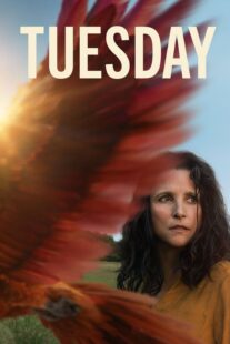 دانلود فیلم Tuesday 2023405840-1934620135