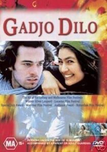 دانلود فیلم The Crazy Stranger 1997407241-63528624