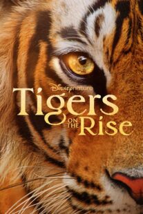 دانلود مستند Tigers on the Rise 2024407068-71518260