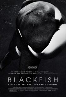 دانلود فیلم Blackfish 2013412328-1421423042