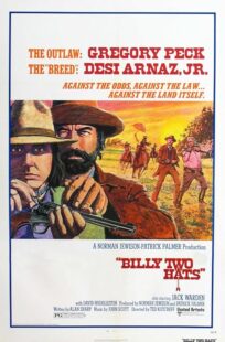 دانلود فیلم Billy Two Hats 1974411057-2021537986