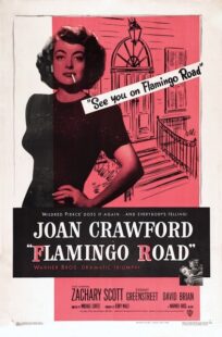 دانلود فیلم Flamingo Road 1949415363-2039341685
