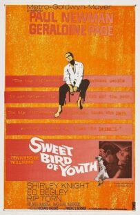 دانلود فیلم Sweet Bird of Youth 1962415738-1795095625