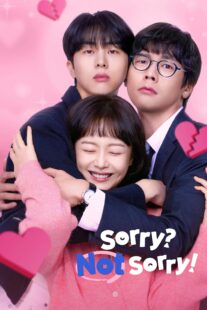 دانلود سریال کره ای Sorry Not Sorry416748-644525145