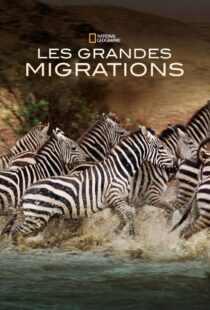 دانلود مستند Great Migrations417146-488796414
