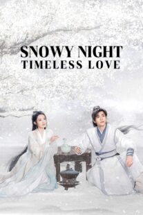 دانلود سریال Snowy Night Timeless Love417168-1322741932
