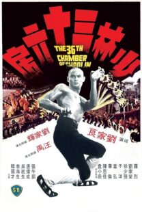 دانلود فیلم The 36th Chamber of Shaolin 1978418237-1154267526